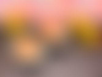 Easter Egg Cheesecake