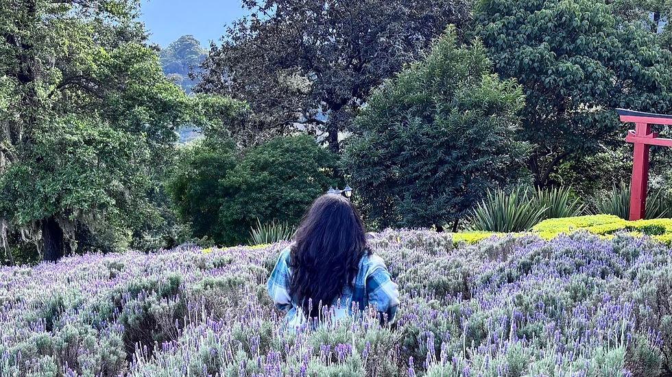 Photo Credit: Sherly Gómez Villatoro