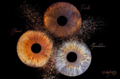 Dispersion-Tornade-web