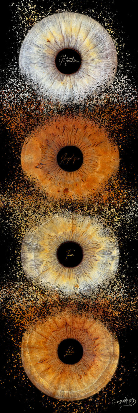 Angélique-dispe2-web