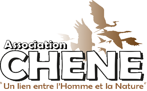 CHENE.gif