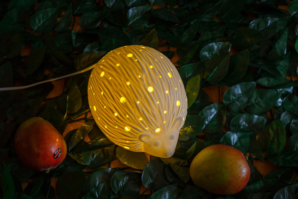 Thumbnail: Hedgehog Porcelain Table Lamp