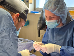 3-legged Gabby is ready for a home