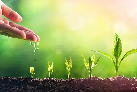 Cultivate Faithfulness (part 2)