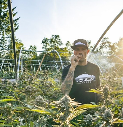 Man smoking in a cannabis farm