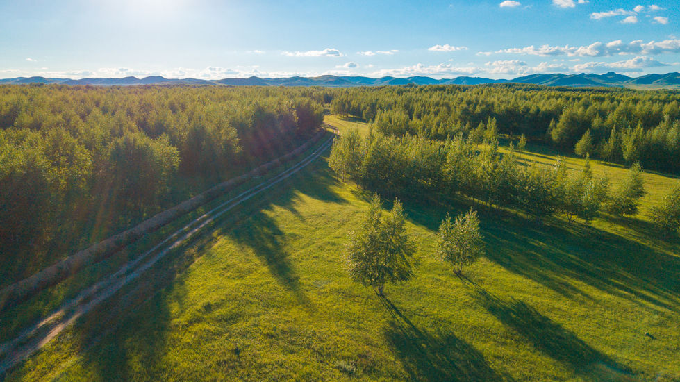 DJI_0306