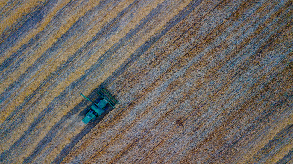 DJI_0533