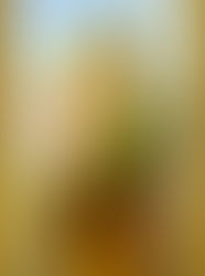 Masz problem ze znalezieniem żony, męża, problemy w rodzinie, a może szukasz pracy ? We wszystkim do