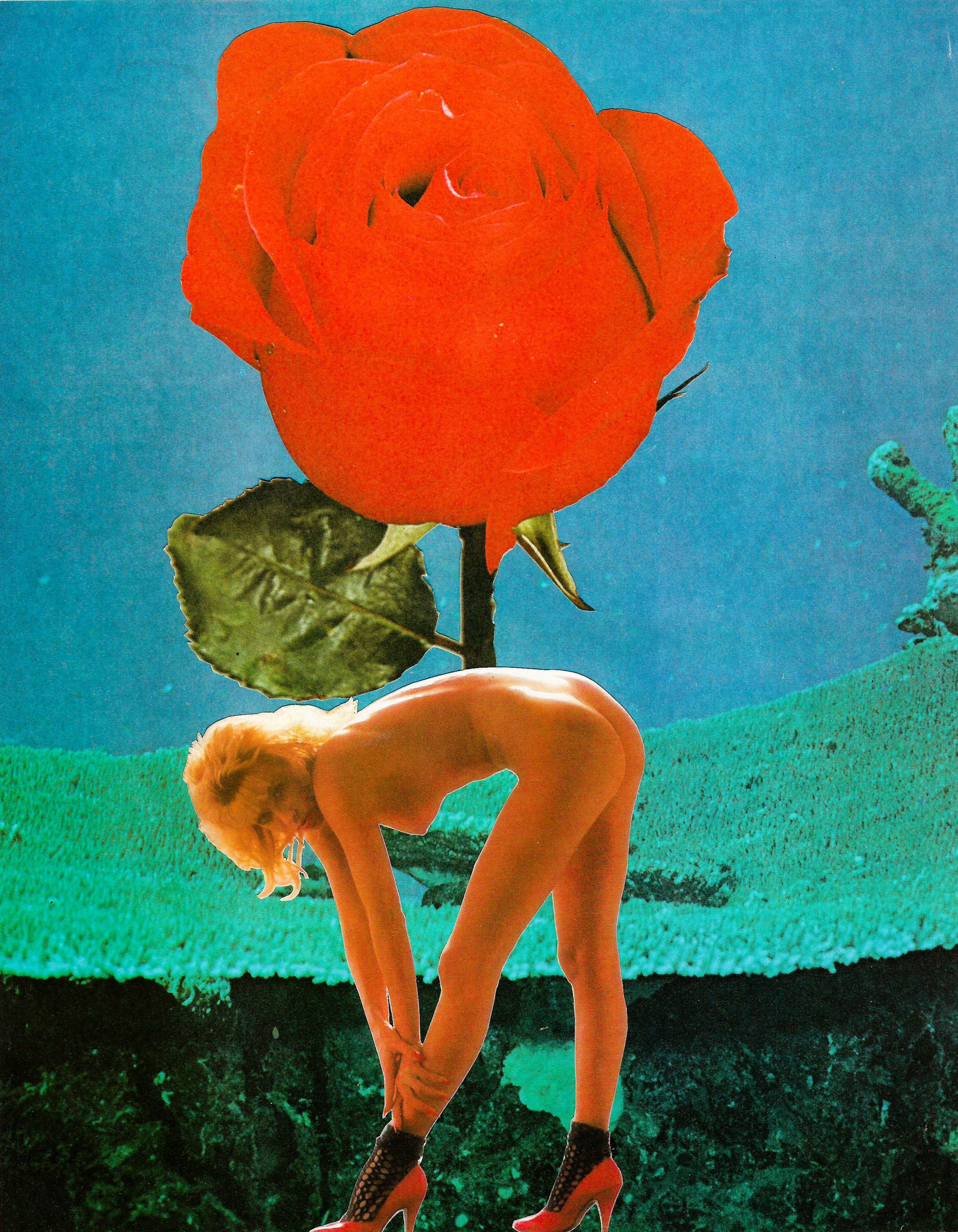 She Was A Rose - Art Print