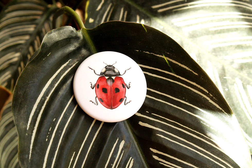 Thumbnail: Badge Coccinelle [by Edith Timmerman]