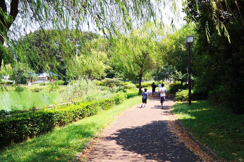 沼津市_門池公園_0