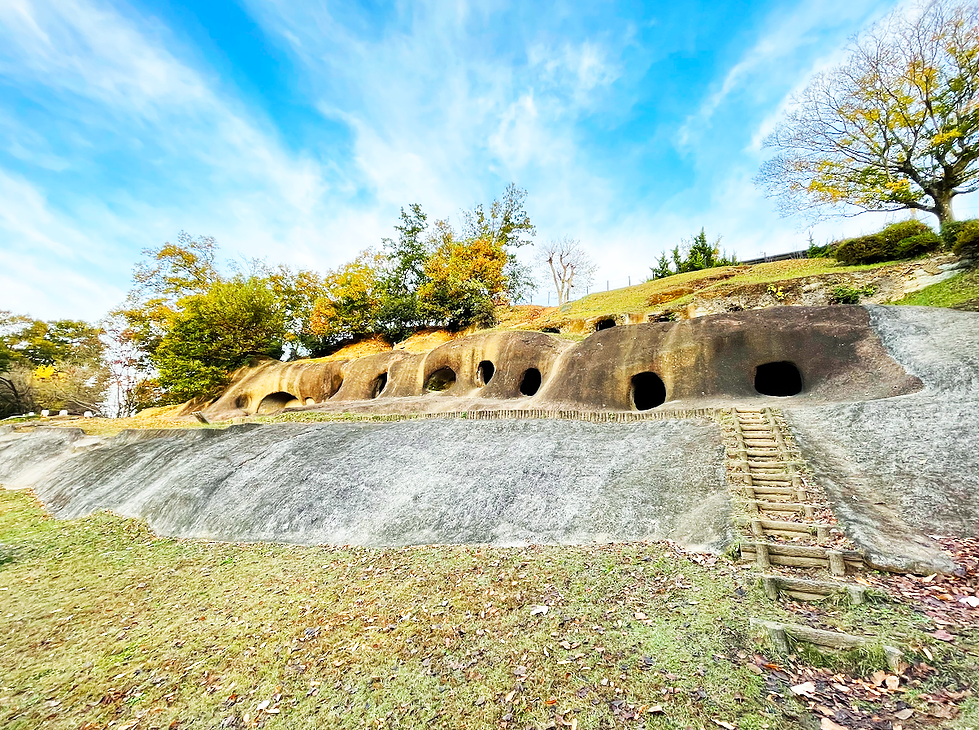 函南町_柏谷公園_1柏谷横穴群.png