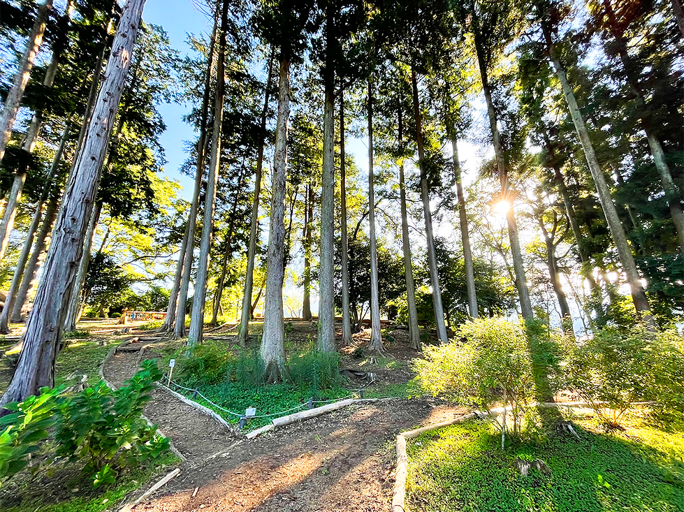 御殿場市_神山自然公園2.png