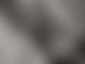 O poder de cura do ronronar dos gatos