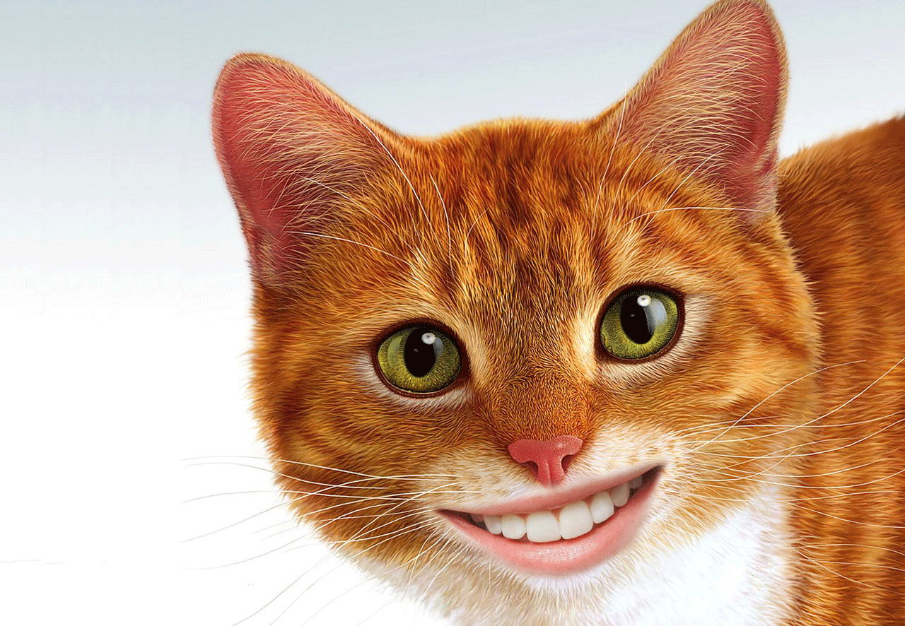 Fonte da imagem: https://getscopedm8katie.files.wordpress.com/2014/11/smiling-kitty.gif