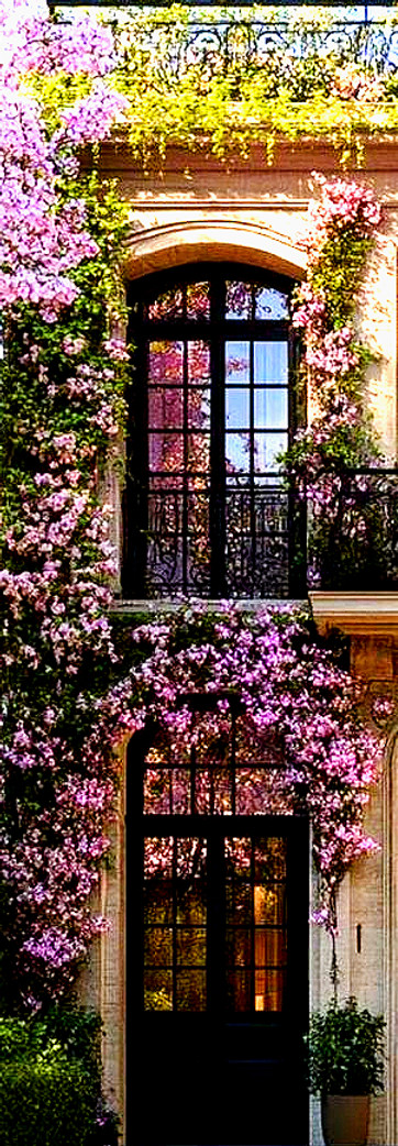 Façade fleurie_edited.jpg