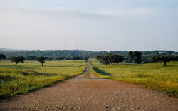 537521_498421083513709_2096540786_n