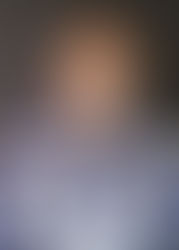 Business Portraits - Cell phone or Professional?