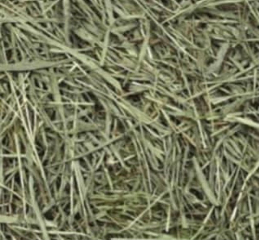 Thumbnail: Guinea pig bundle (medium)