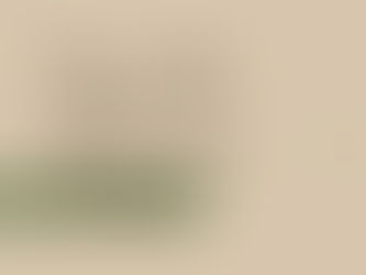 Você sabia que cada ser humano possui uma capacidade diferente de absorver informações?