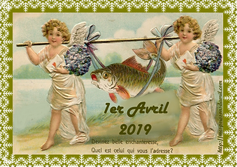 PROJET8.png