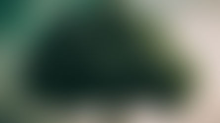 La Higuera de Mc 11.14