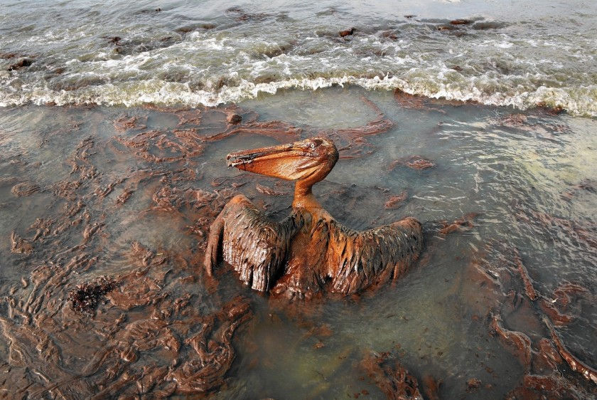 Marine Oil Spills