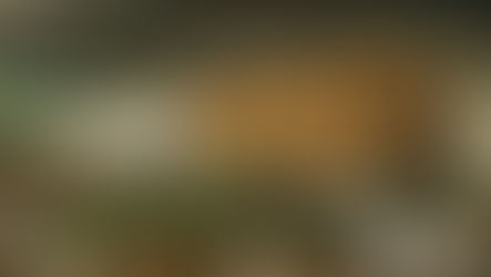 La Puerta en el Arca