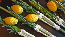 Etrog y Lulav en la Torá