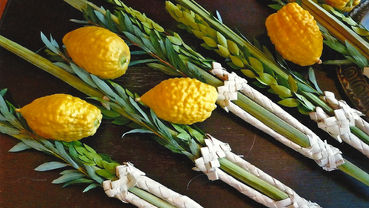 Etrog y Lulav en la Torá
