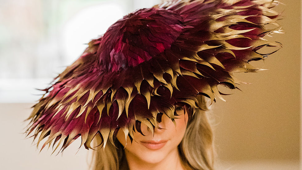 The Autumn/Winter Collection