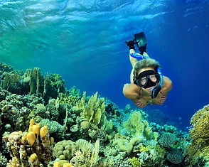 snorkeling in playas del coco playa panama costa rica