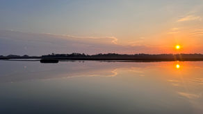 A quiet morning reflection—a gentle reminder to pause before reacting and look at the world through a clearer lens.