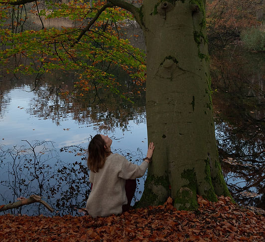 ForestBathing_TFBC17-02-5_edited.jpg