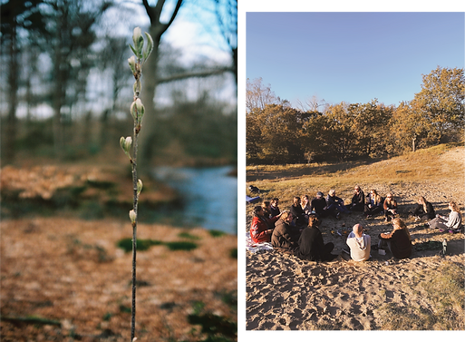 GROEP-IN-NATUUR-06.png