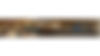Untitled design (47).png