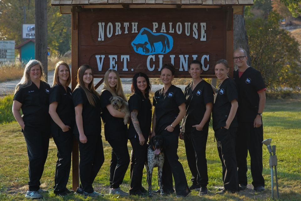 North Palouse Vet Clinic, your mixed animal and ER veterinarians in