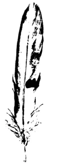 Feder.gif