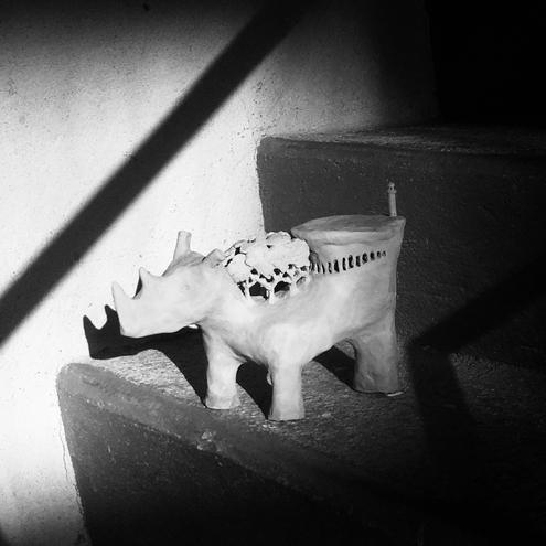 Rhinoceros