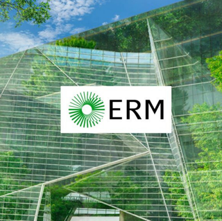 ERM's 2024 Sustainability Report: Stepping Up for a Sustainable Future