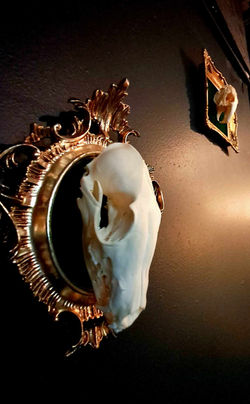 More skulls. Sensing a theme yet?