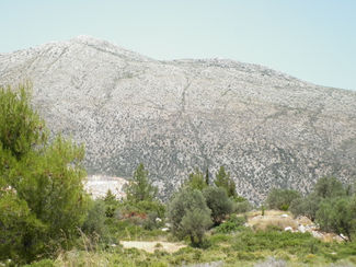 Αραχναίο Αργολίδα