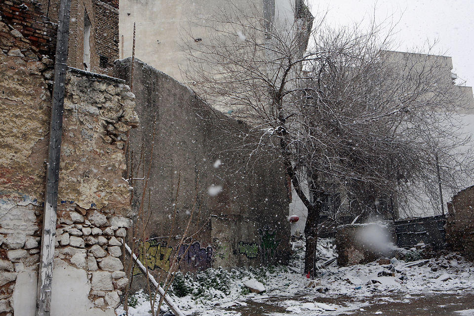 41