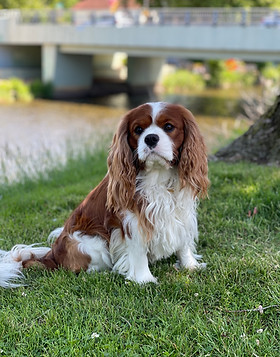 IMG_9394 4.jpg