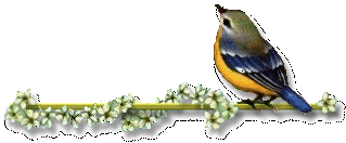 bird with leaves.gif
