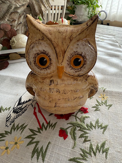 owl.jpg