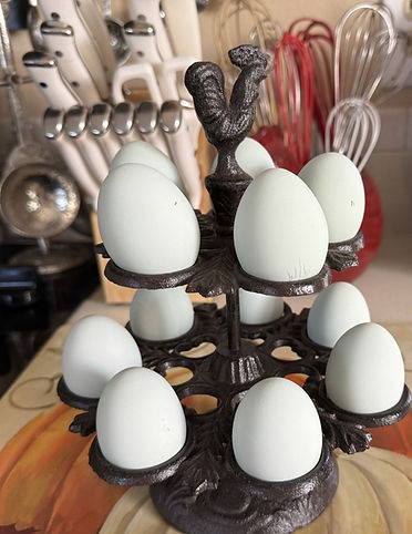 current eggs.jpg