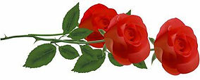 red roses set.jpg