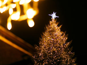 Holiday Magic Around the Globe: The Christmas Markets Travelers Love Most