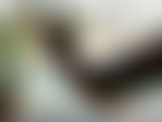 New Year, New Expectations: What Clients Will Expect From Their Travel Advisor This Year